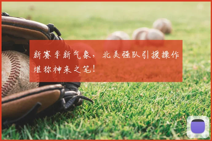 新赛季新气象，北美强队引援操作堪称神来之笔！